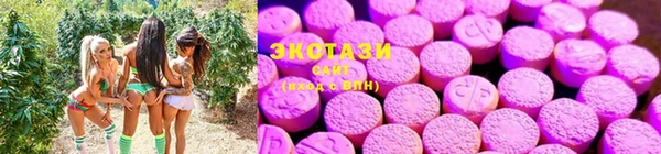 прущие крисы Баксан
